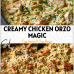 A creamy skillet of Chicken Orzo in Alfredo Parmesan Sauce garnished with herbs for One Pan Meals inspiration 26